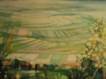 Obra contemporánea nombrada « Rizière en perspective », Hecho por MICHEL CLOS