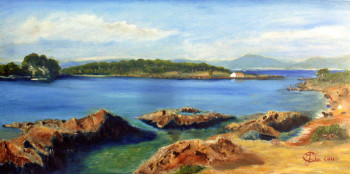 Obra contemporánea nombrada « l'ile du petit Goua », Hecho por JULIA COLLETTO