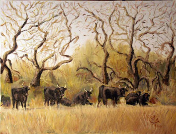 Obra contemporánea nombrada « les taureaux de Camargue », Hecho por JULIA COLLETTO