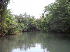 la-riviere-des-indiens-des-caraibes