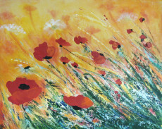 quelques-coquelicots-i