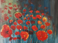 coquelicots-nocturnes