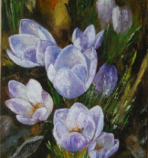 crocus