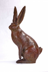 march-hare-1