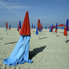 les-parasols1