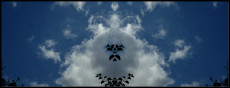 esprit-nuage-a-moustache-photo-3d