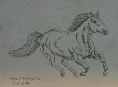 cheval