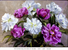 pivoines-blanches-et-roses