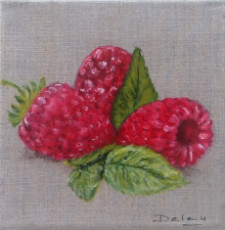 fruits-dete-serie-fruits-rouges-les-framboises