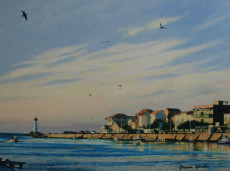 agde-la-tamarissiere