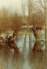 reflexions-sur-seine