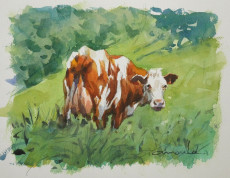 vache-rousse