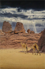 tamanrasset