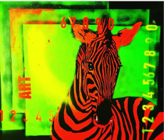 zebre-red