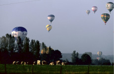 le-plancher-des-vaches