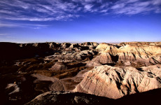 petrified-forest-arizona-1