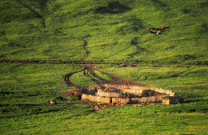 camp-massai-tanzanie