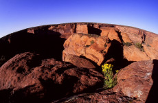 grand-canyon