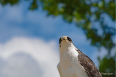 rencontre-avec-un-regard