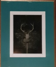 cernunnos