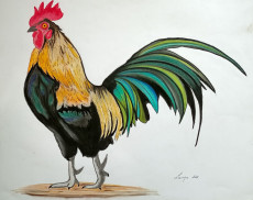 le-coq