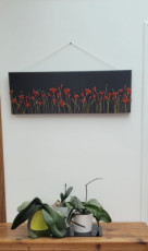 coquelicots