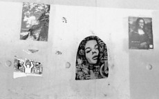 collages-sur-mur