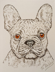 bouledogue-francais-sur-toile-peinture-originale-acrylique