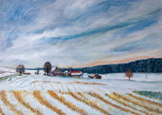 paysage-du-seeland-en-hiver