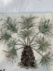 inherited-palm