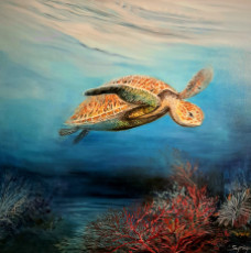 tortue-marine