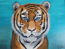 tigers-blue-eyes