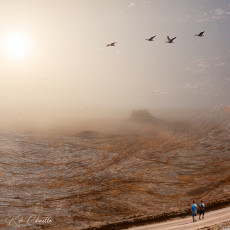 quand-tu-es-dans-le-desert