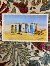 les-toilettes-tunisiennes