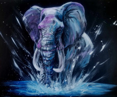 elephant-splash