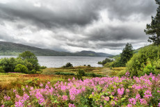 scottish-landscape-1