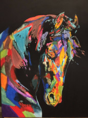 cheval-en-couleur