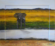 elephant-au-bord-dune-riviere