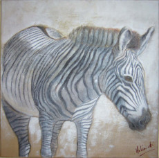 le-zebre-du-kenya