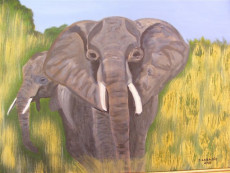 elephants