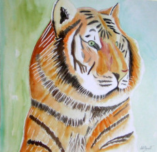 tigre