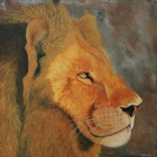 lion