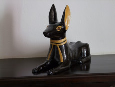 anubis