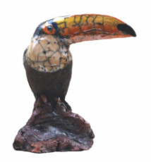 toucan