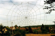 lunite-du-monde-a-liorac-sur-louyre